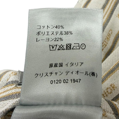 Dior Homme Striped Pattern Shorts Ivory — view 7