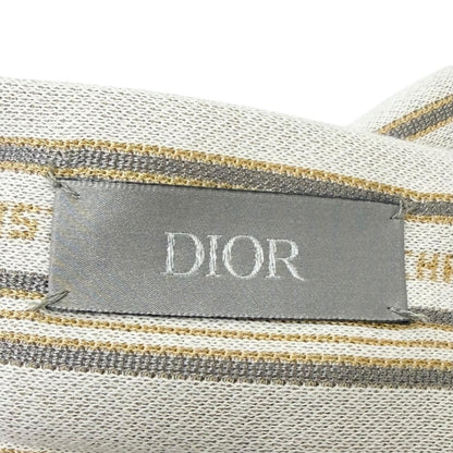 Dior Homme Striped Pattern Shorts Ivory — view 5