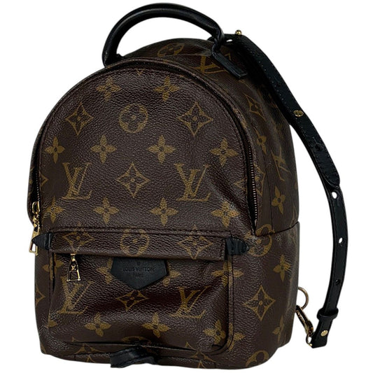 Louis Vuitton Palm Springs Backpack Mini Monogram Brown