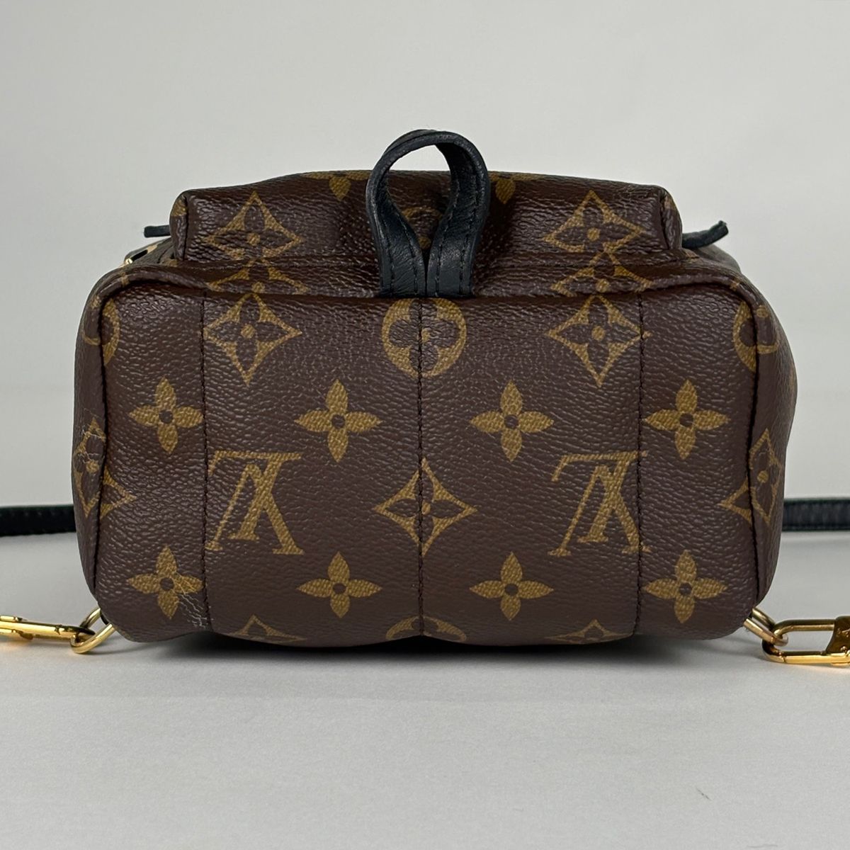 Louis Vuitton Palm Springs Backpack Mini Monogram Brown — view 3