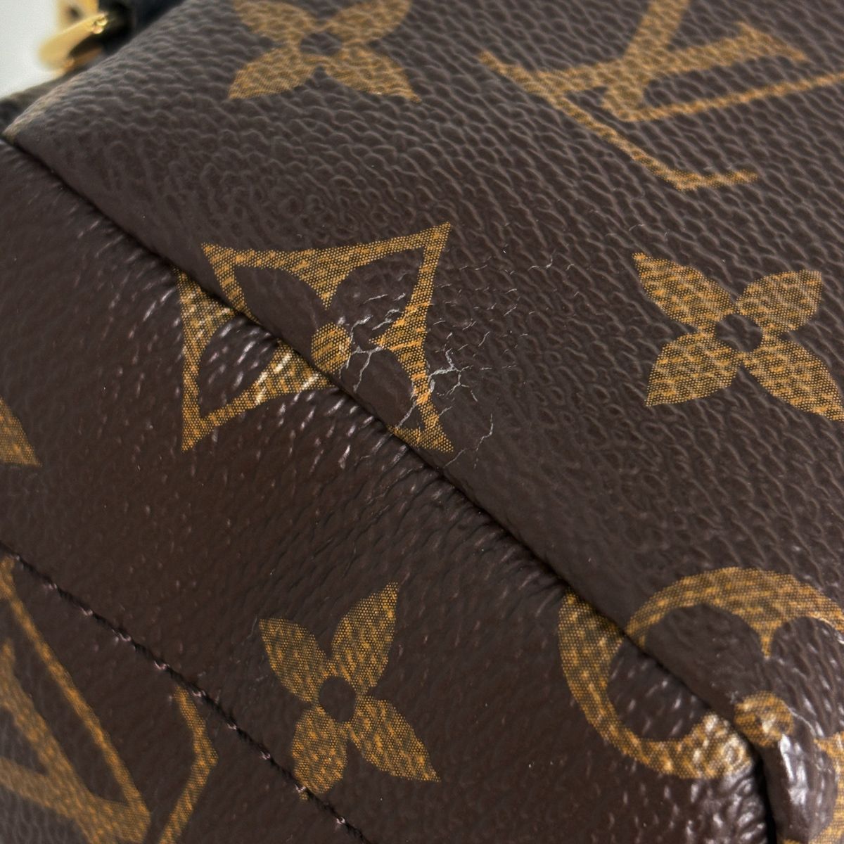 Louis Vuitton Palm Springs Backpack Mini Monogram Brown — view 5