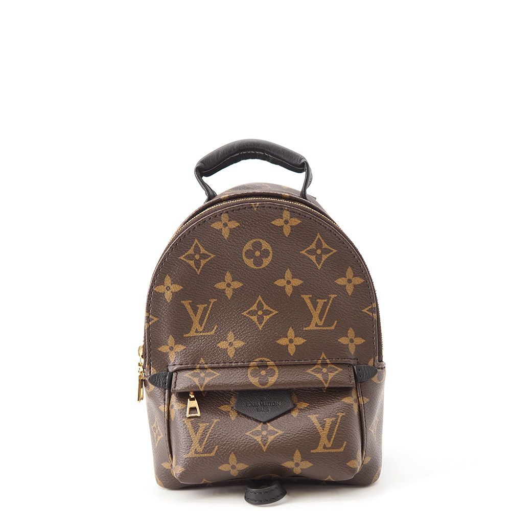 Louis Vuitton Monogram Palm Springs Backpack Mini