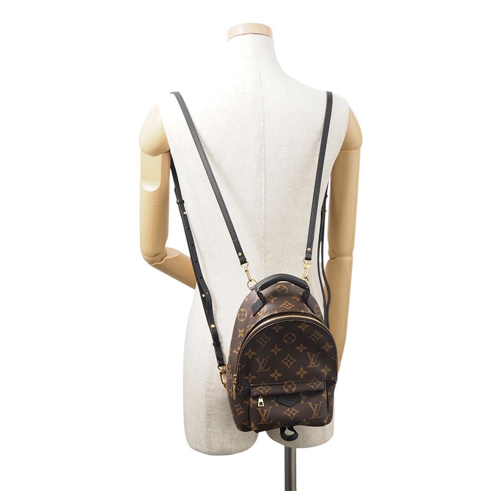Louis Vuitton Monogram Palm Springs Backpack Mini — view 5