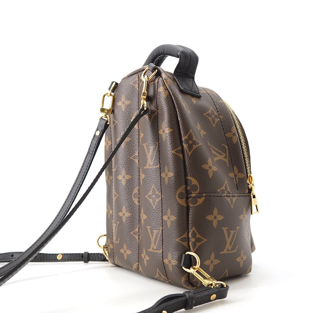 Louis Vuitton Monogram Palm Springs Backpack Mini — view 3