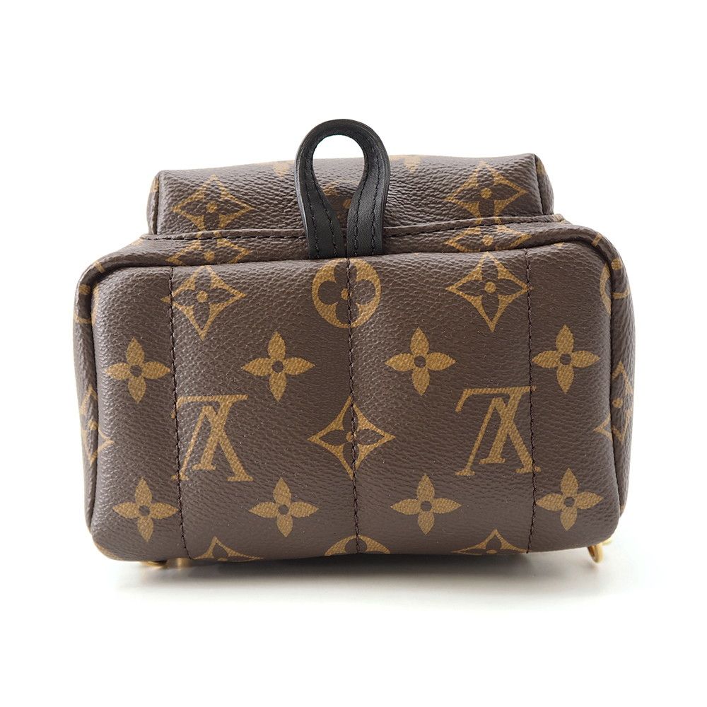 Louis Vuitton Monogram Palm Springs Backpack Mini — view 4