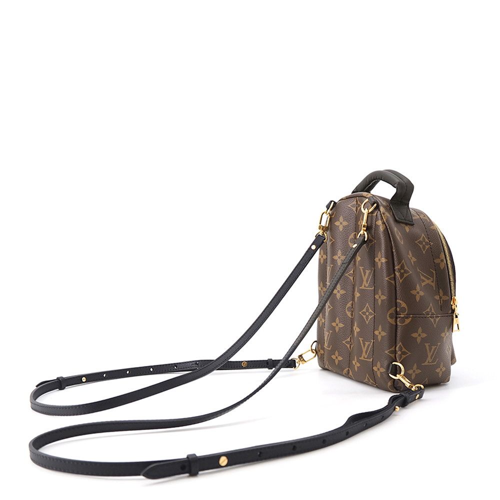 Louis Vuitton Monogram Palm Springs Backpack Mini — view 2
