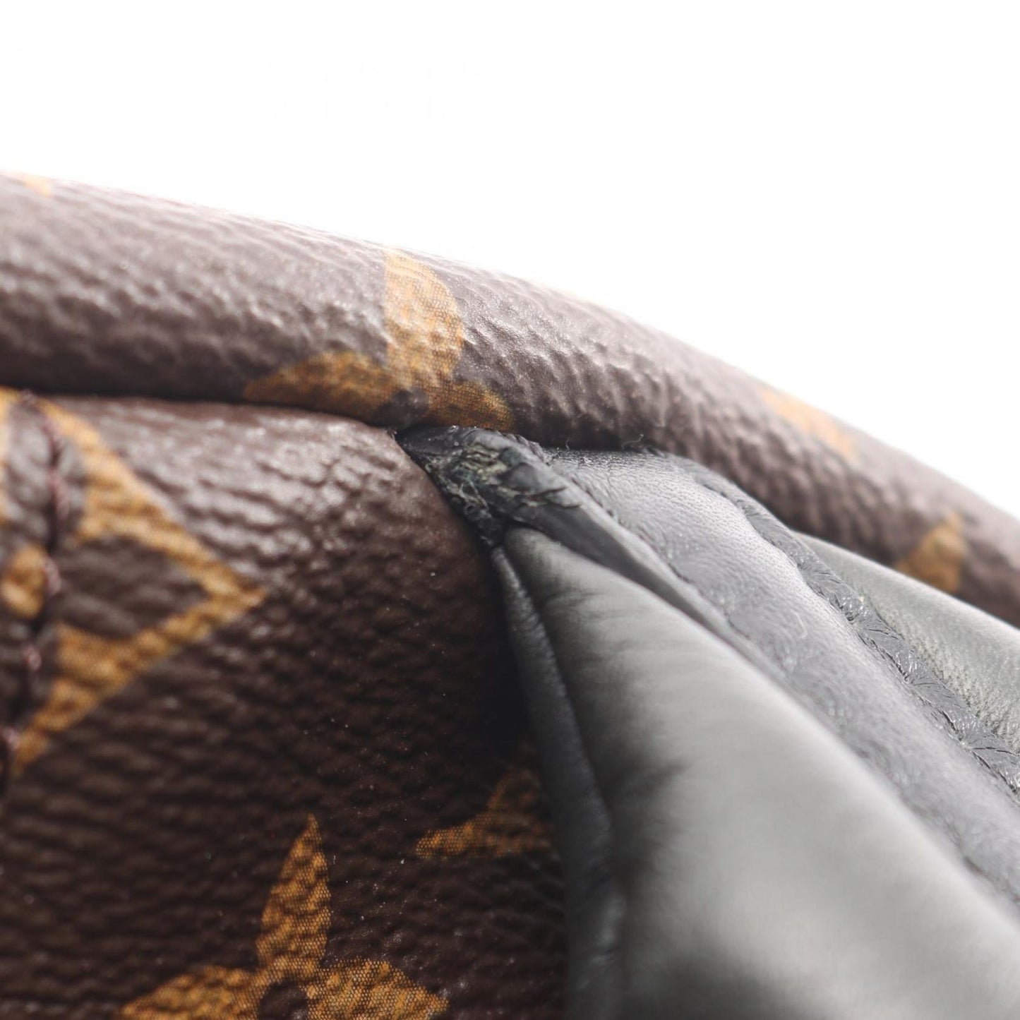 Louis Vuitton Backpack Palm Springs MM Canvas Leather — view 7