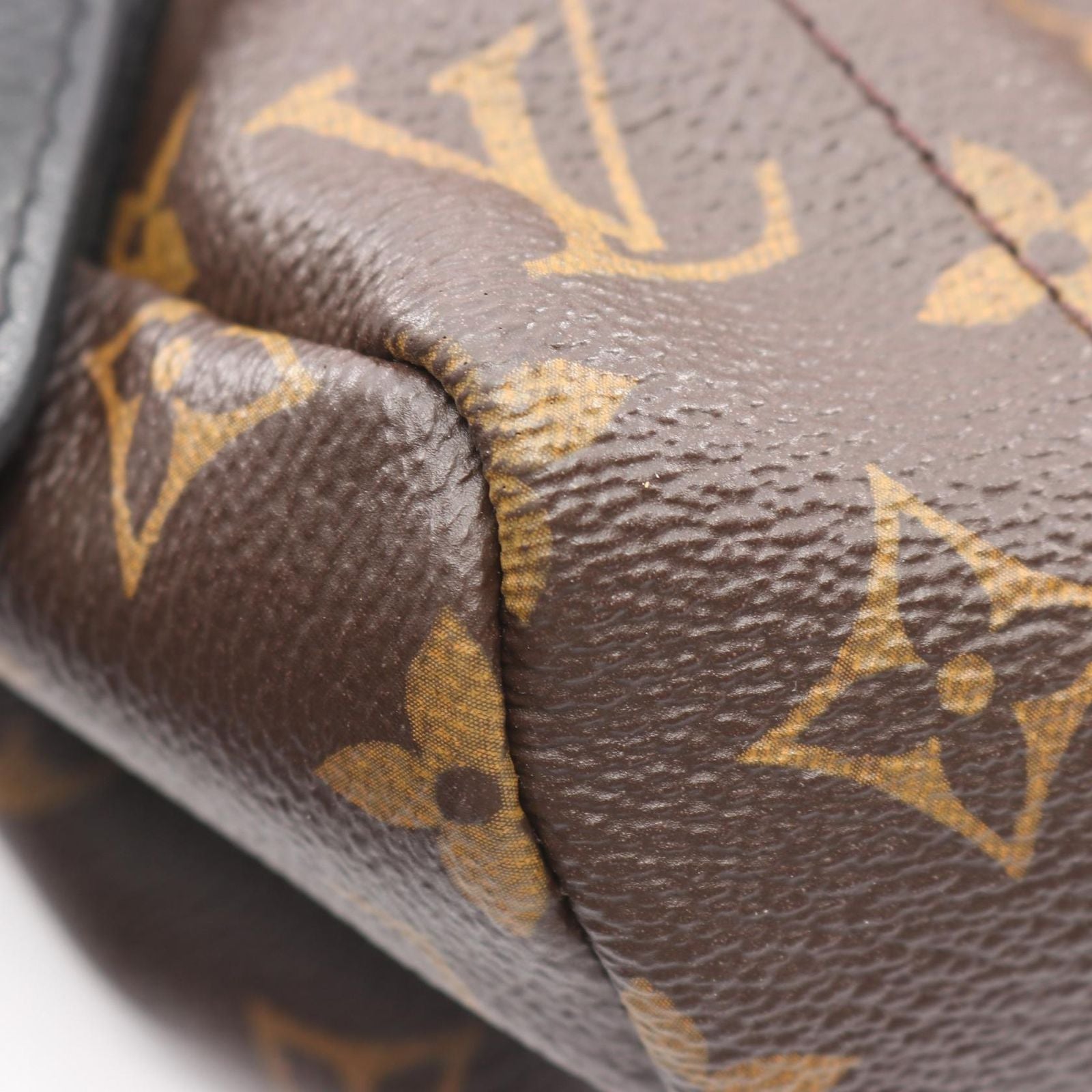 Louis Vuitton Backpack Palm Springs MM Canvas Leather — view 6