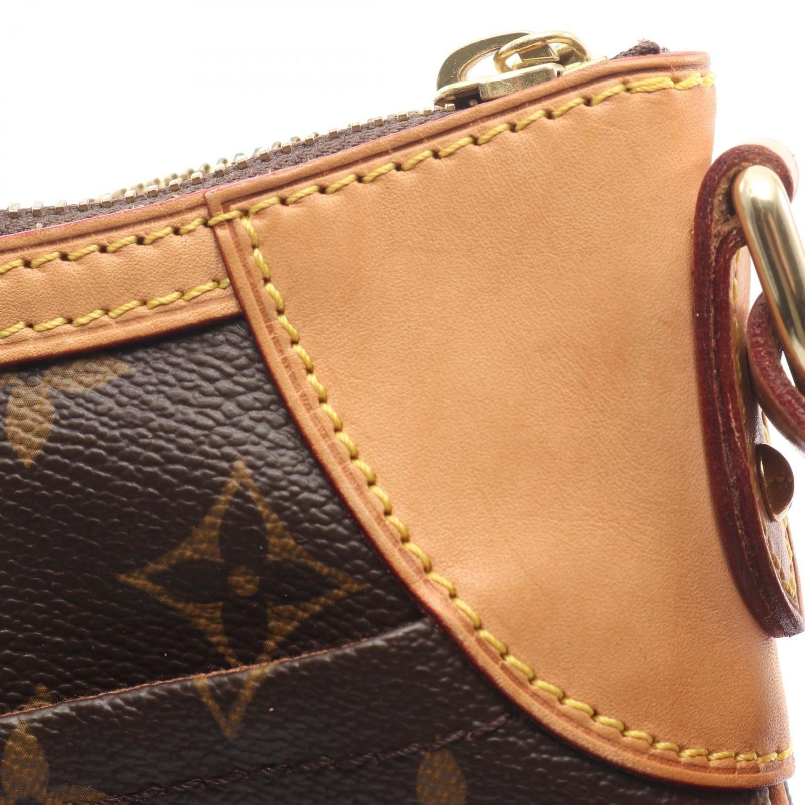 Louis Vuitton Shoulder Bag Odeon PM Canvas Leather — view 8