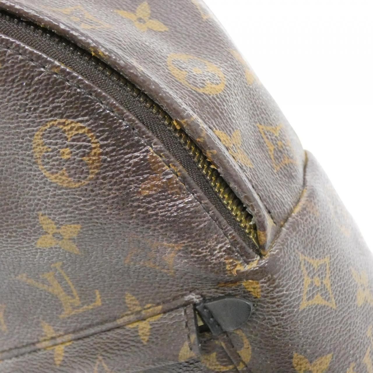 Louis Vuitton Monogram Palm Springs Backpack PM — view 5