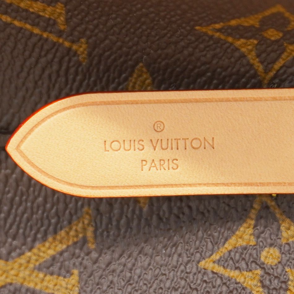 Louis Vuitton Handbag Monogram Neo Noe BB Brown 2-Way — view 5