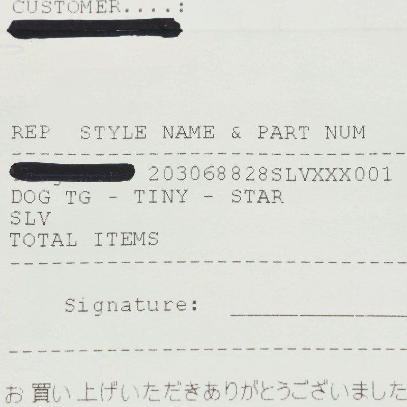 Chrome Hearts D T Tny Star Tiny Dog Tag Charm Silver Necklace — view 5