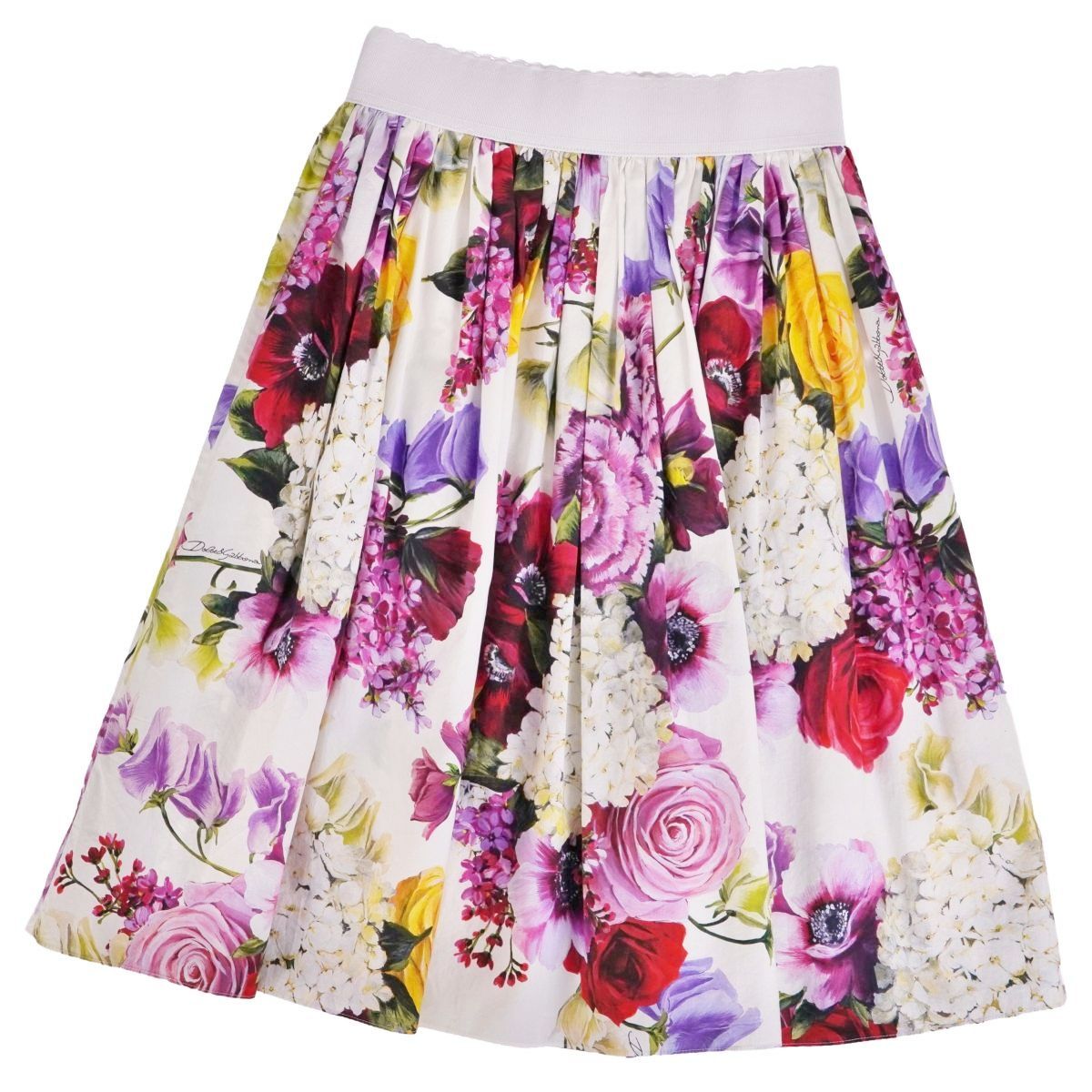 Dolce & Gabbana Skirt Flare