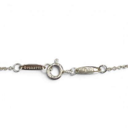 Tiffany & Co Elsa Peretti Color by the Yard Aquamarine Pendant Silver — view 7