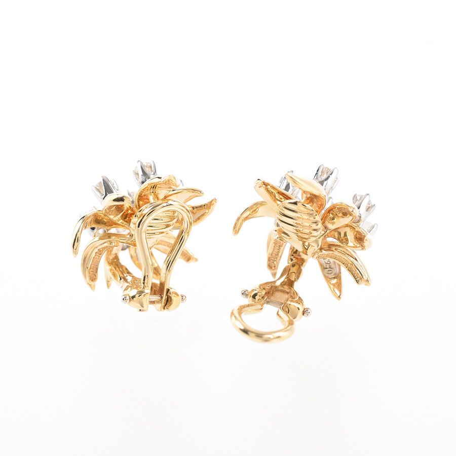Tiffany & Co Earrings Jean Schlumberger — view 4