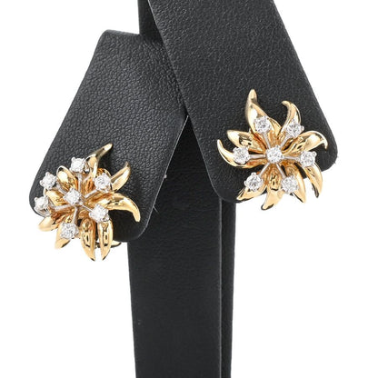 Tiffany & Co Earrings Jean Schlumberger