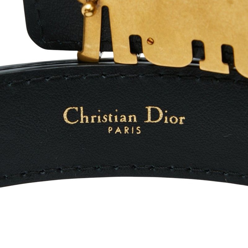 Dior D-fence Defense Logo Buckle Belt 75 Black Calf — view 5