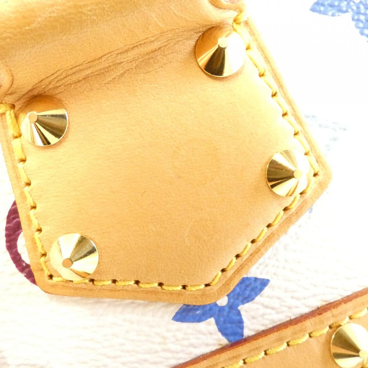 Louis Vuitton Multicolor Alma PM — view 5