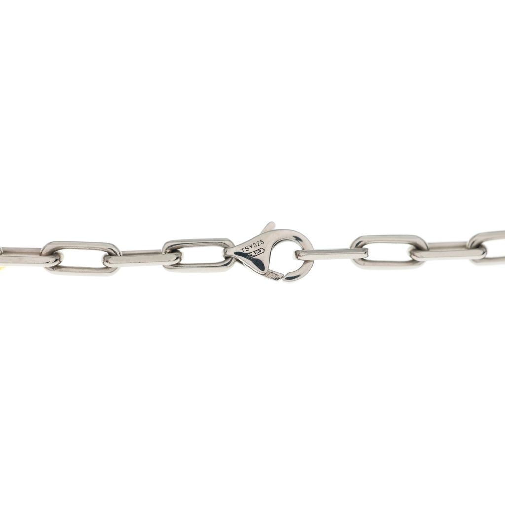 Cartier Santos de Cartier Necklace Silver Chain — view 3