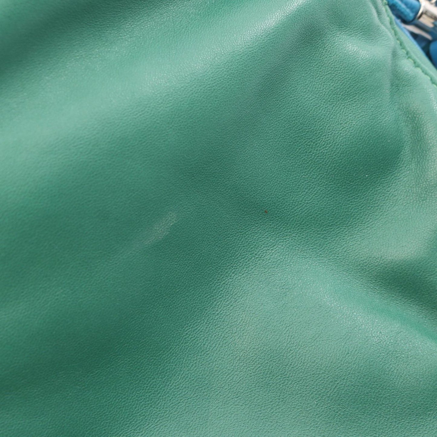 Loewe Shoulder Bag Flamenco 22 Tassel Green Blue Leather — view 8