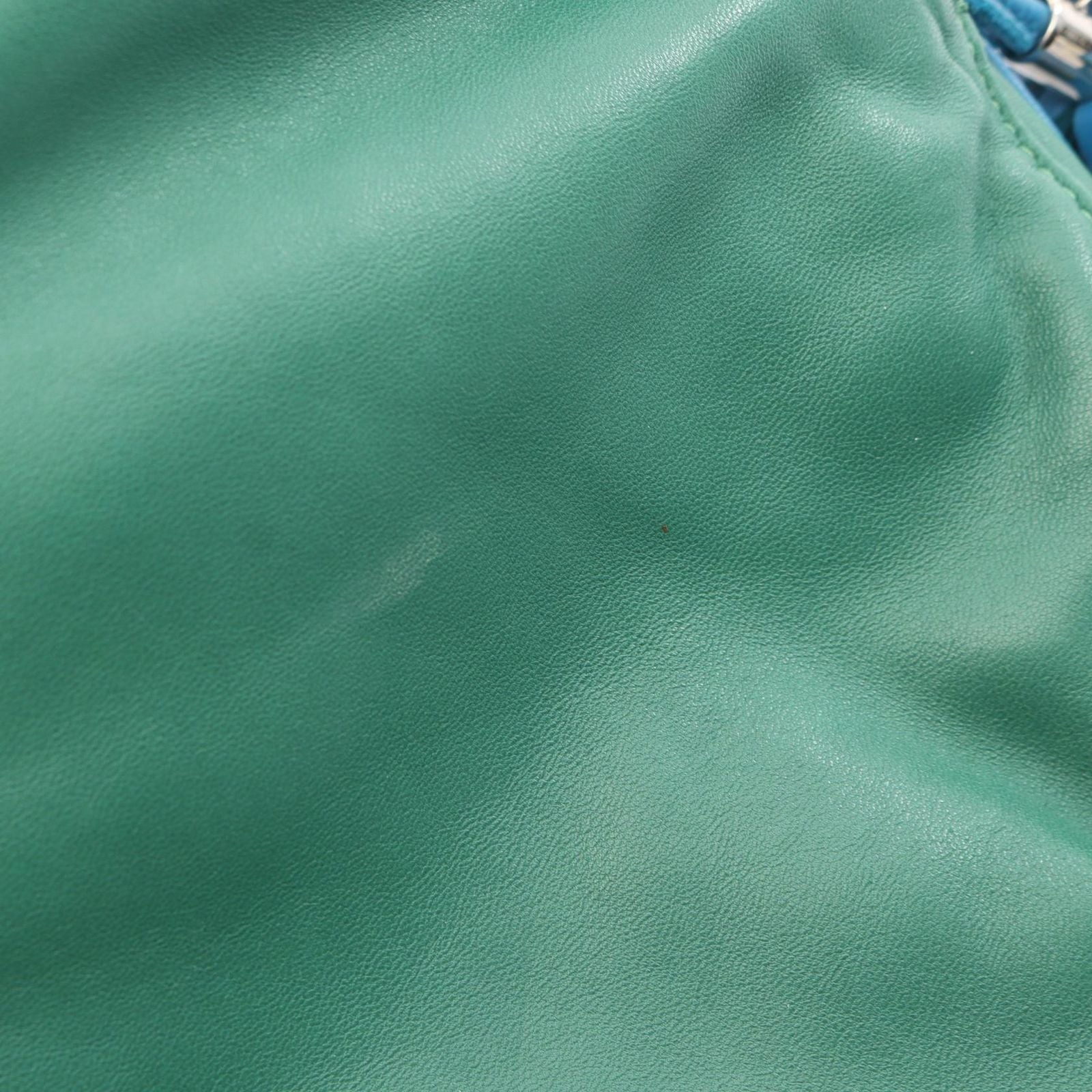 Loewe Shoulder Bag Flamenco 22 Tassel Green Blue Leather — view 8