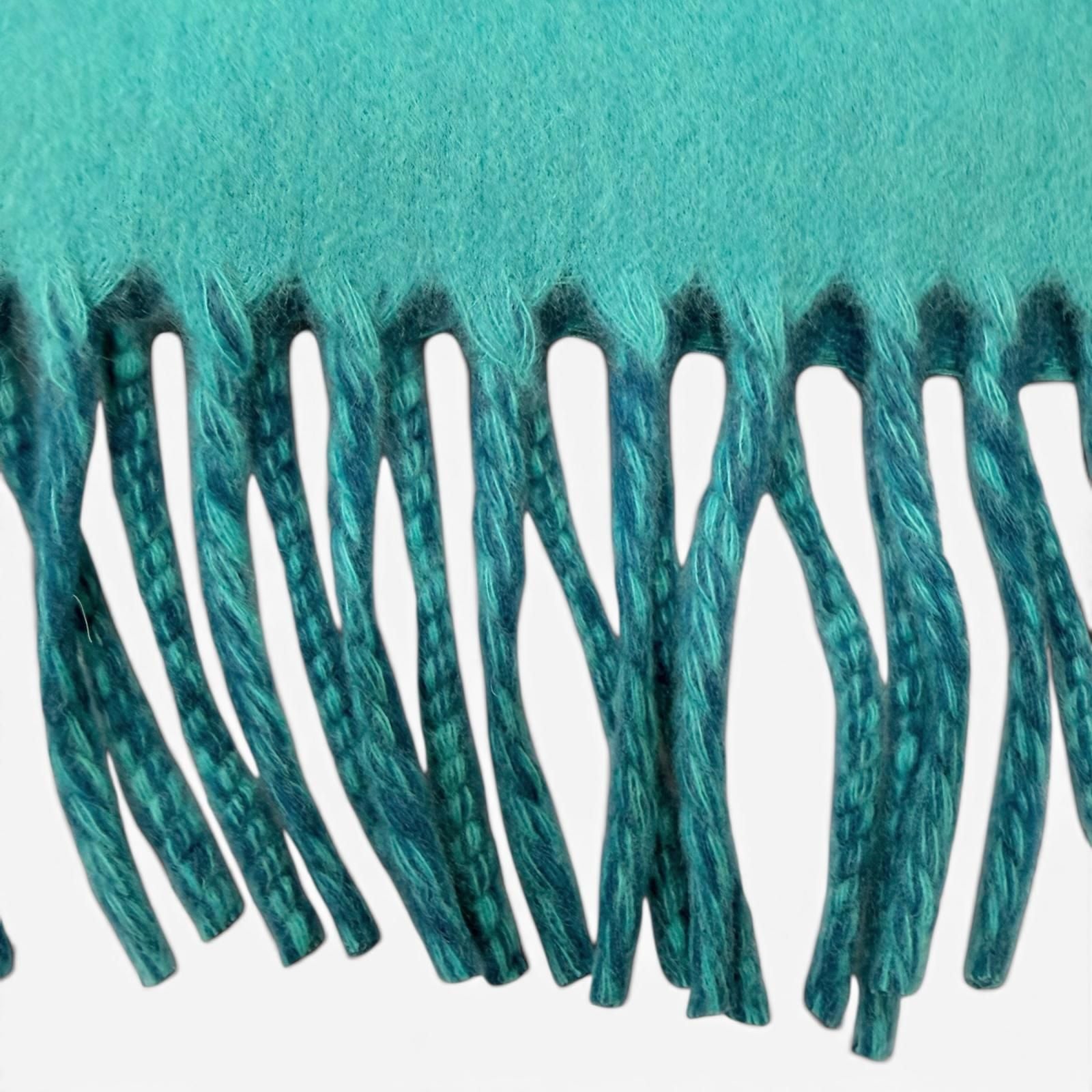 Hermes Cashmere Perforated Logo Fringe Scarf Shawl Turquoise Blue — view 5