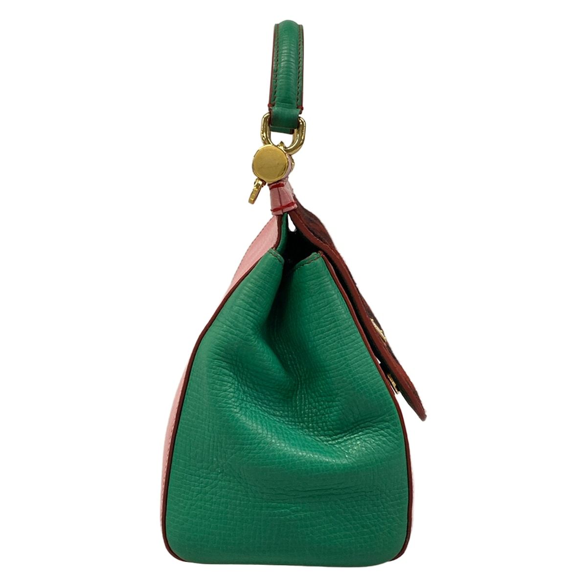 Dolce & Gabbana Handbag Shishiri Light Pink Green Multi Embossed Leopard Print — view 2
