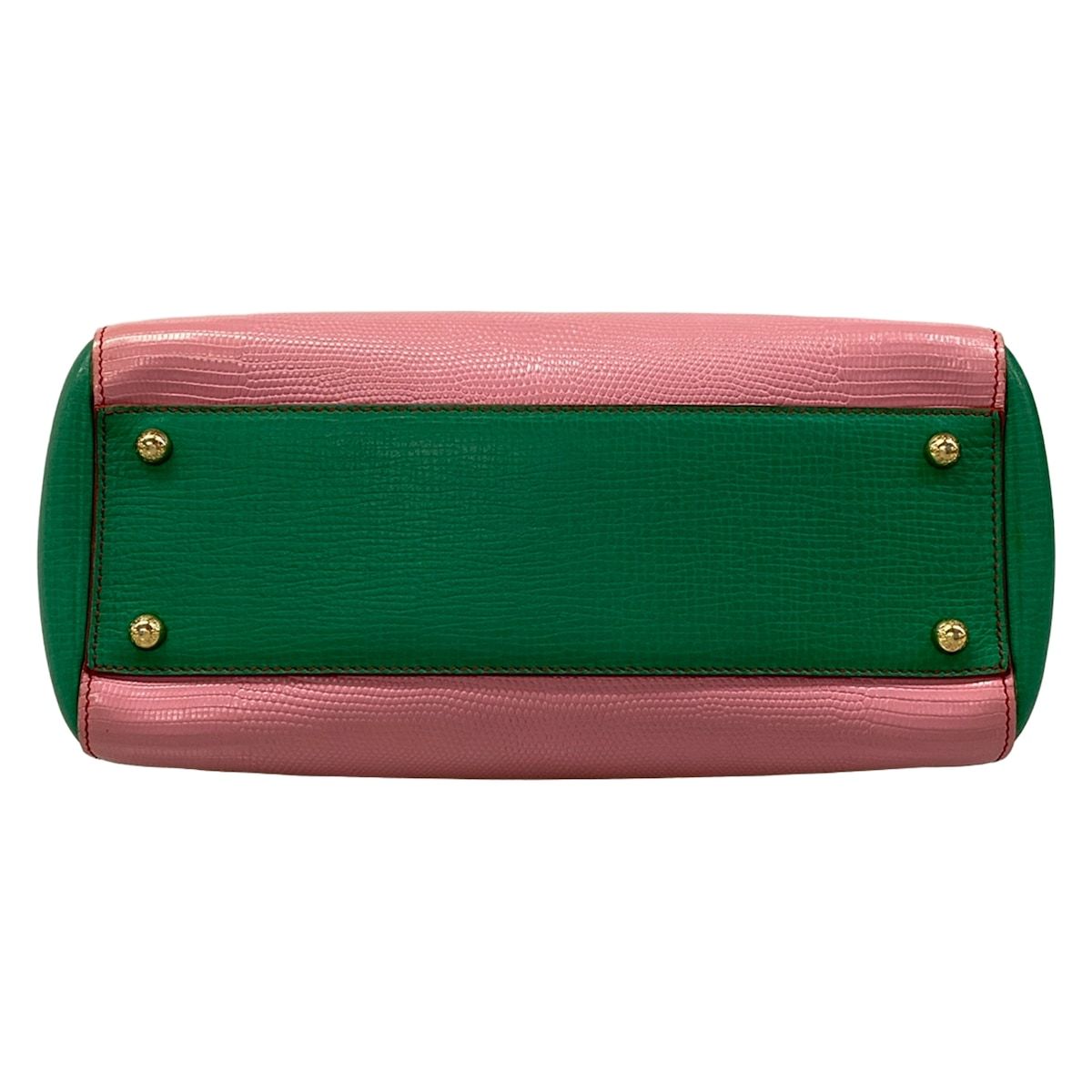 Dolce & Gabbana Handbag Shishiri Light Pink Green Multi Embossed Leopard Print — view 5