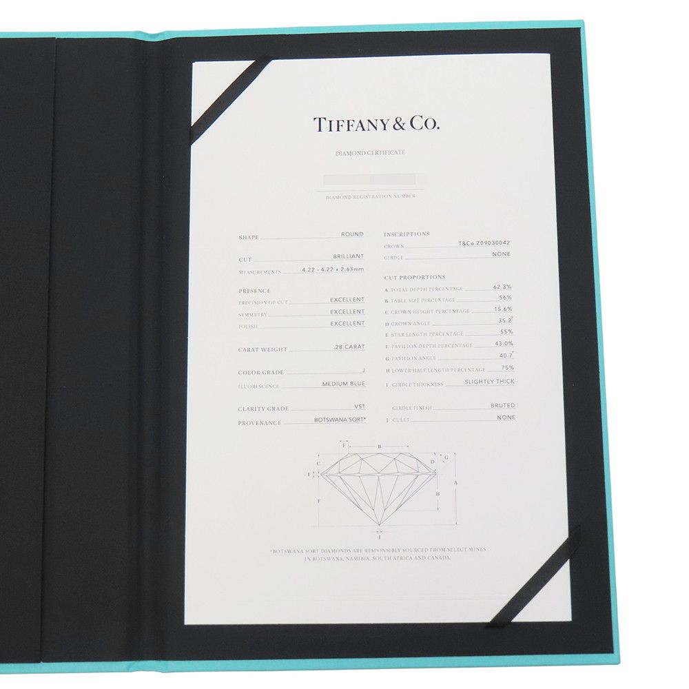 Tiffany & Co Necklace Sorest Pendant Diamond Medium Stone Platinum — view 9