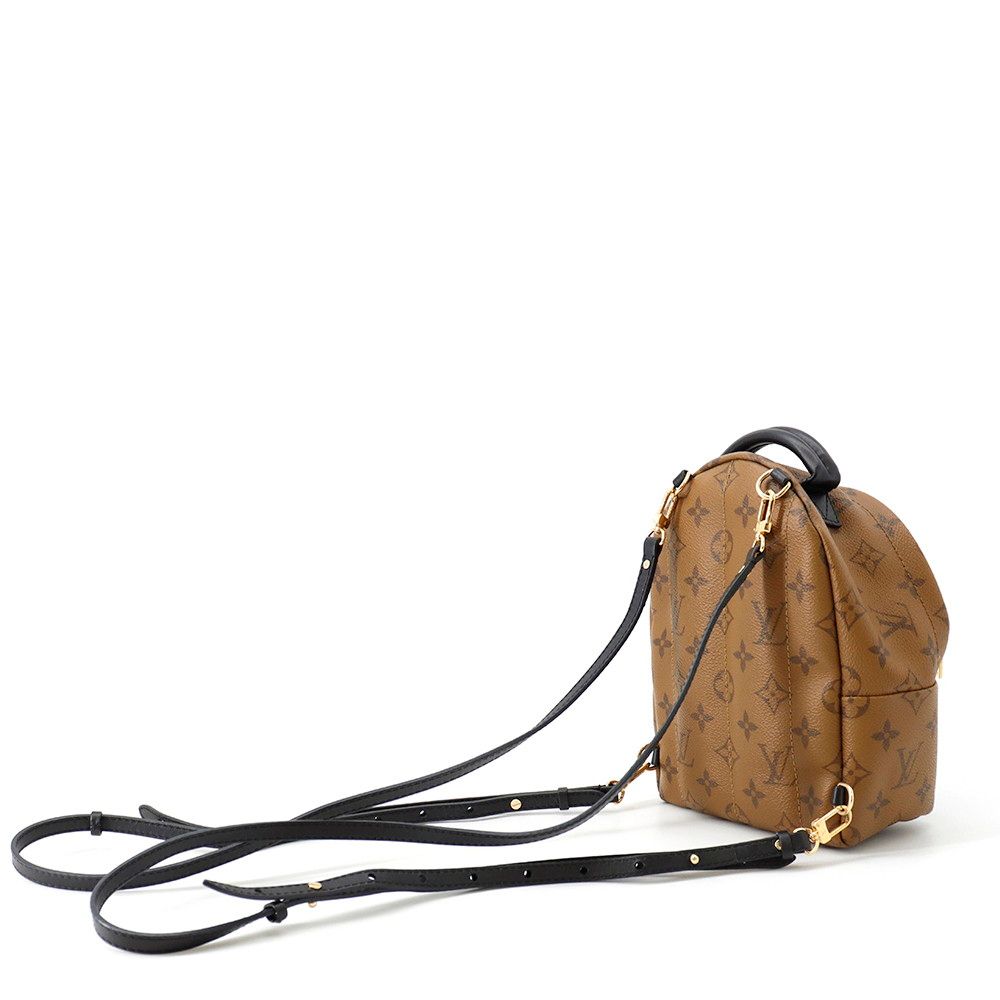 Louis Vuitton Backpack Monogram Reverse Palm Springs Mini Bag Black — view 2