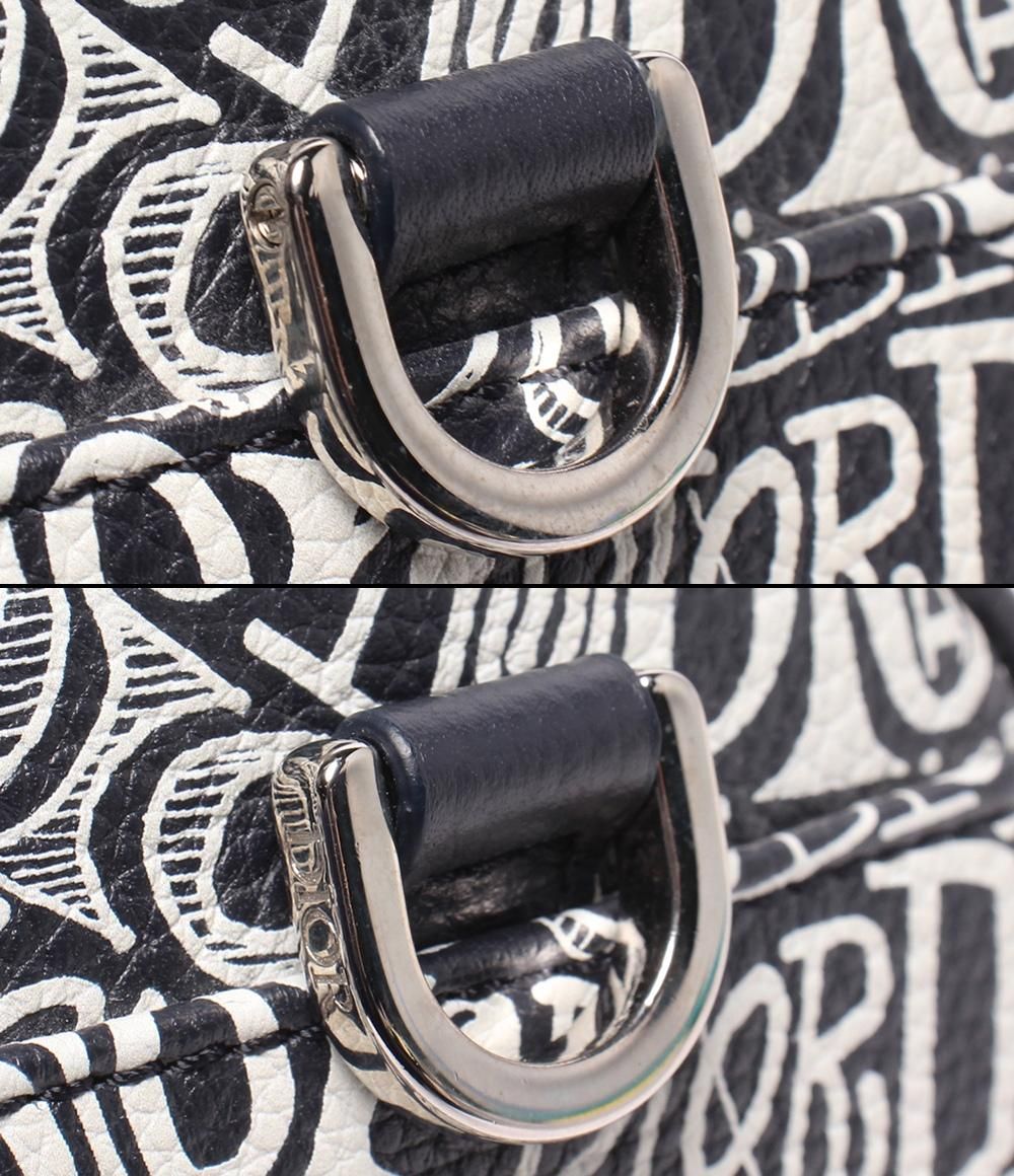 Dior Stussy Shoulder Bag Crossbody Roller — view 6