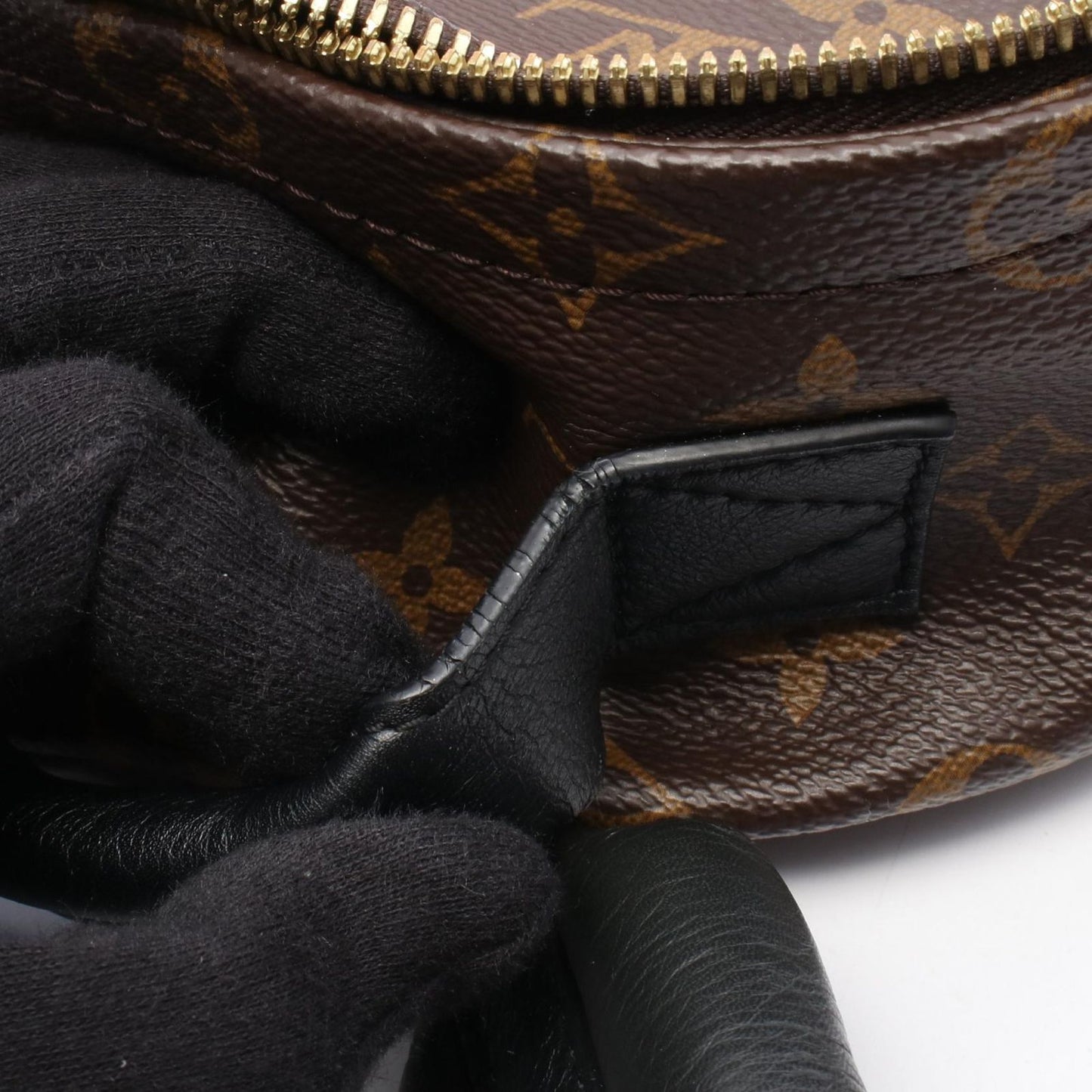 Louis Vuitton Backpack Palm Springs PM Canvas Leather — view 8