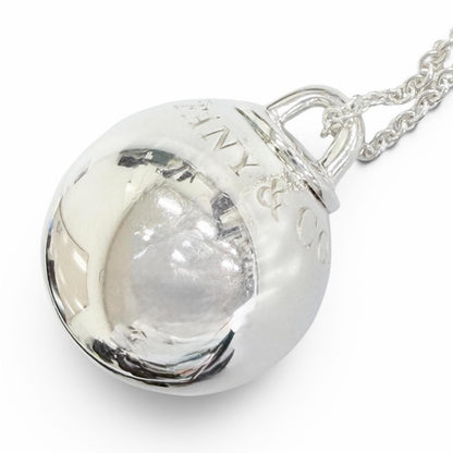 Tiffany & Co 132000 Necklace