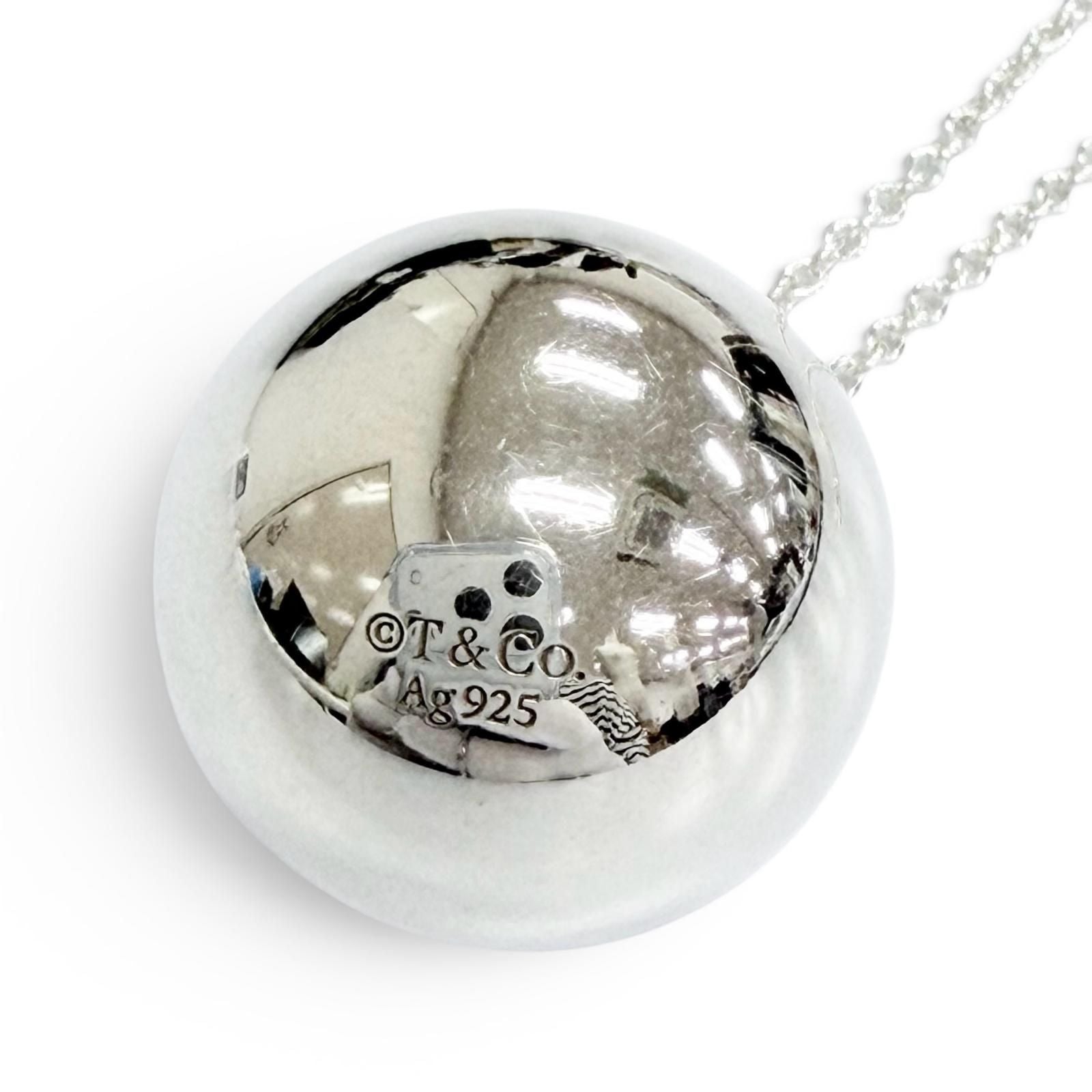Tiffany & Co 132000 Necklace — view 6