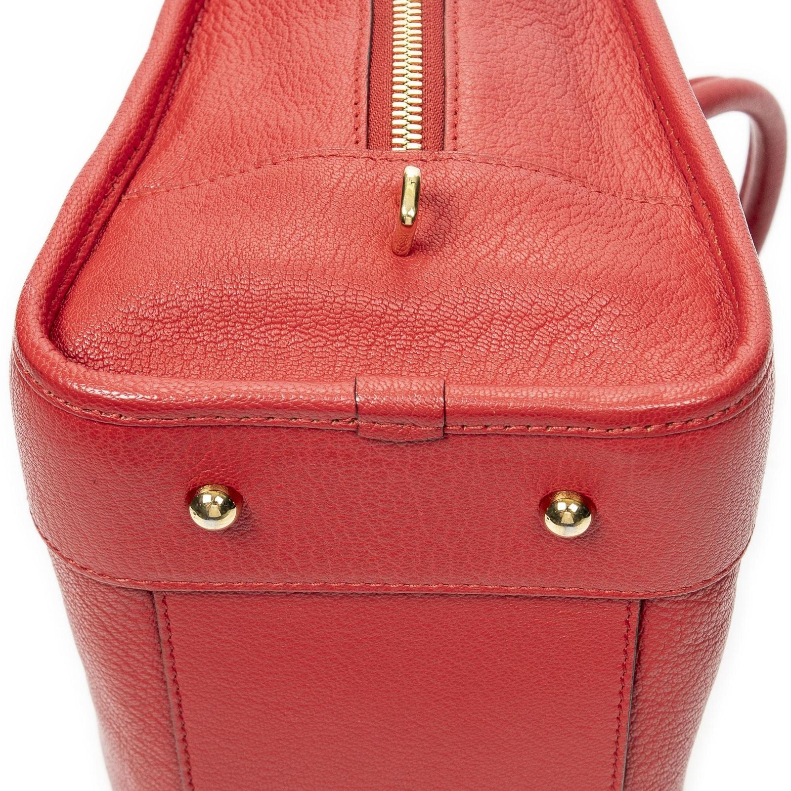 Loewe Amazona Red Goatskin Leather — view 8