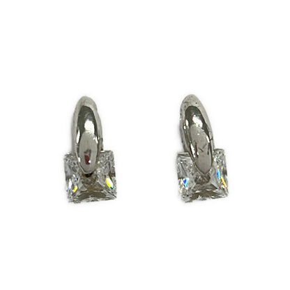 Bottega Veneta Earrings Silver