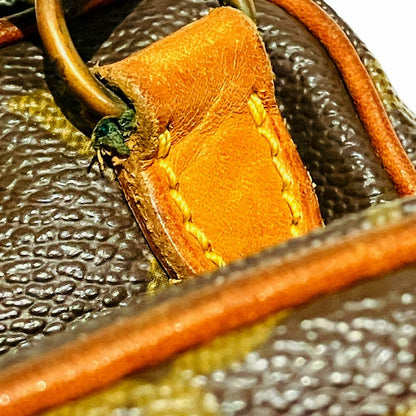 Louis Vuitton Miniamazon Monogram Shoulder Bag Canvas — view 9