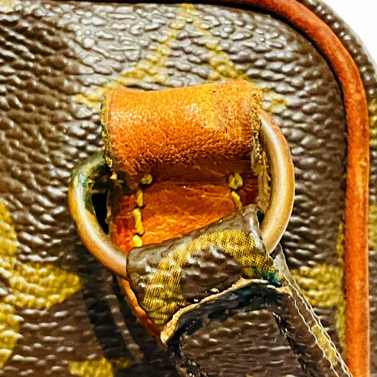 Louis Vuitton Miniamazon Monogram Shoulder Bag Canvas — view 8