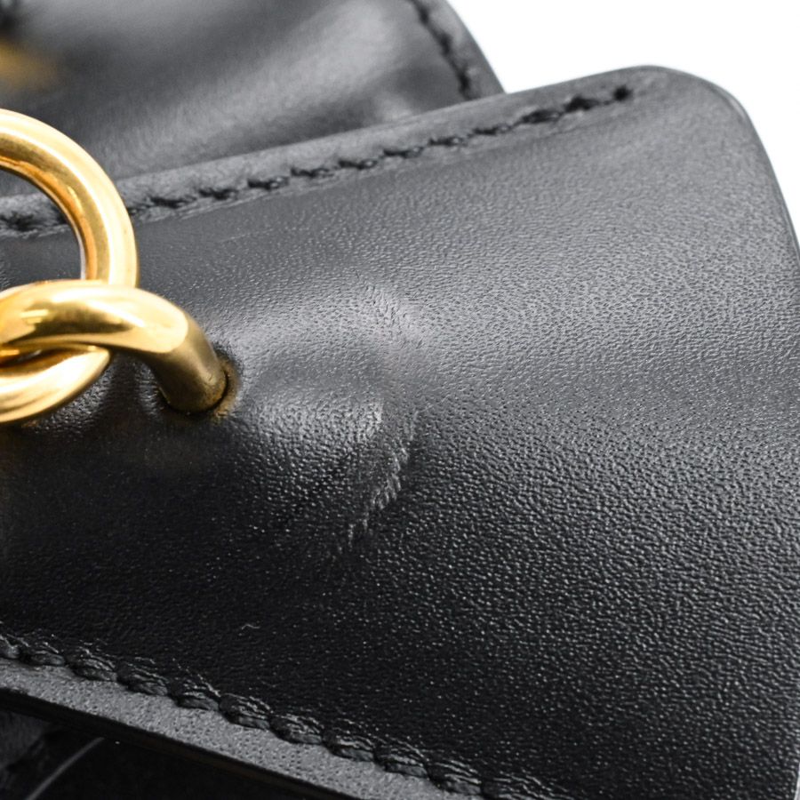 Celine Handbag Mini 16 Seeds — view 8