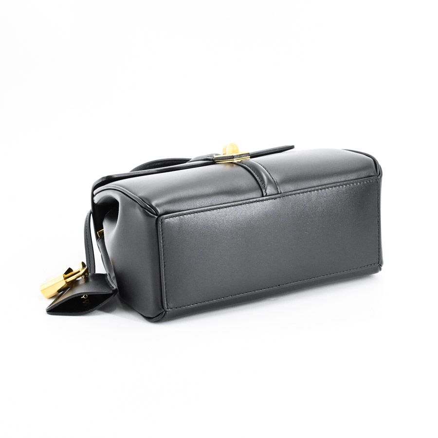 Celine Handbag Mini 16 Seeds — view 5