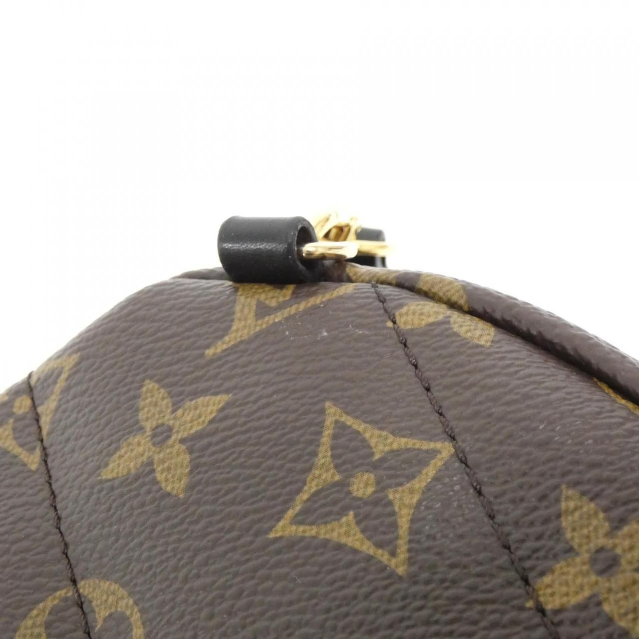 Louis Vuitton Monogram Palm Springs Backpack PM — view 4