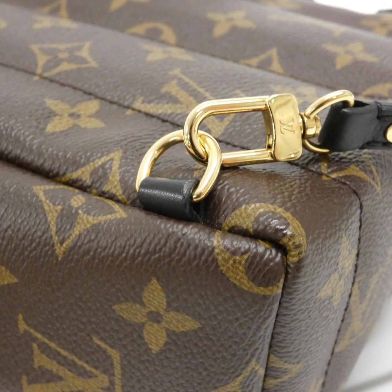 Louis Vuitton Monogram Palm Springs Backpack PM — view 5