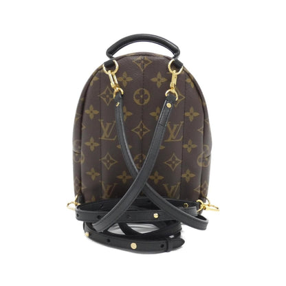 Louis Vuitton Monogram Palm Springs Backpack PM — view 2
