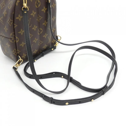 Louis Vuitton Monogram Palm Springs Backpack PM — view 6