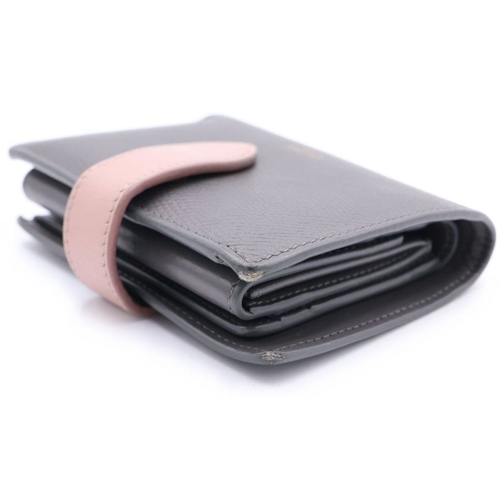 Celine Small Strap Wallet Bifold Gray — view 6