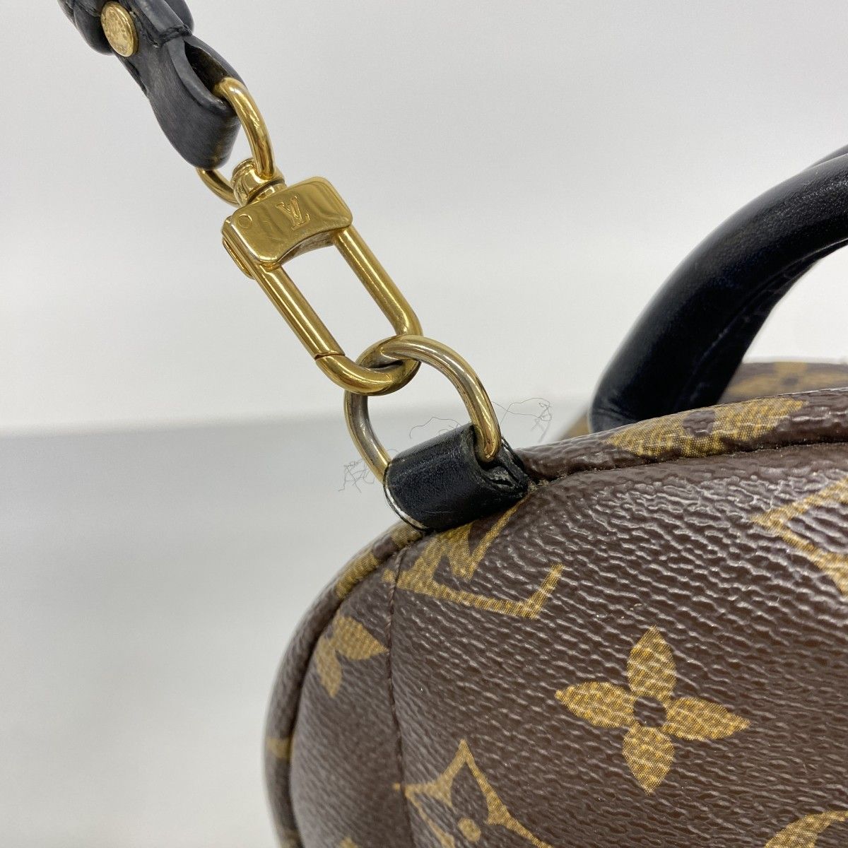 Louis Vuitton Backpack Monogram Palm Springs Mini Brown — view 7