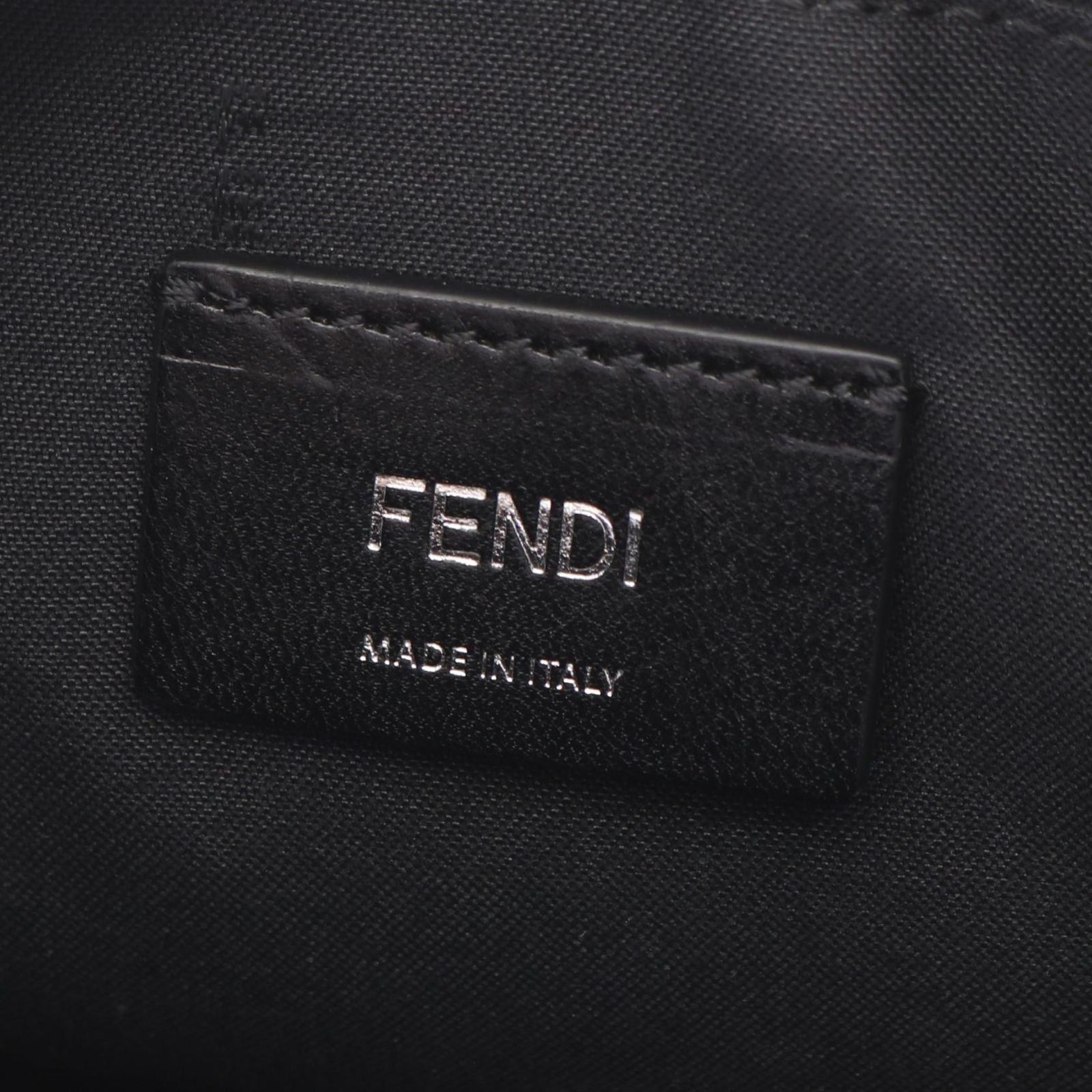 Fendi Shoulder Bag Diagonal Camera Case Lunar New Year Limited Collection — view 4
