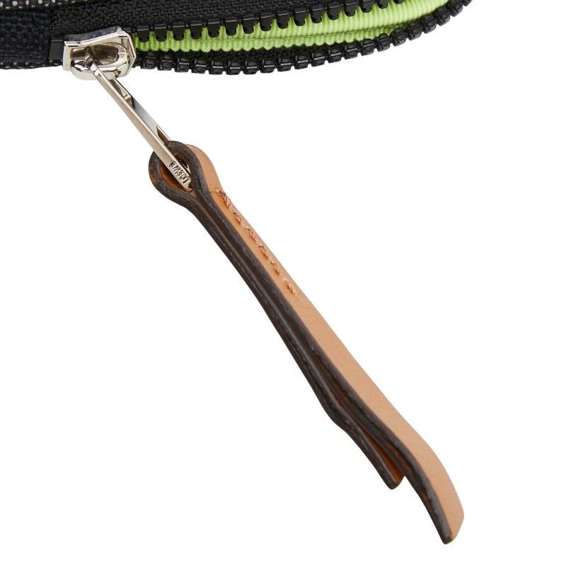 Loewe Neck Pouch Eye Nature Case Shoulder Bag Gray Black Light Yellow Canvas — view 6