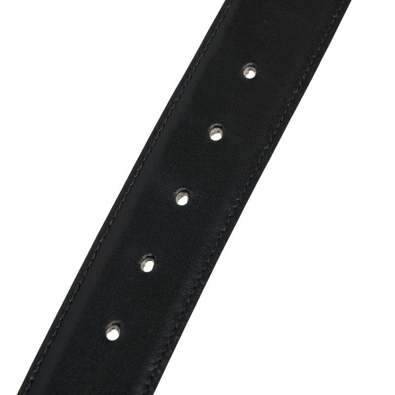 Celine Horse Carriage Vintage Motif Belt Black Brown Gold Leather Plated — view 7