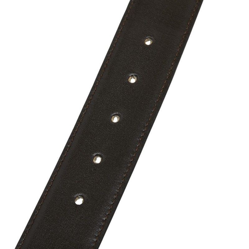 Celine Horse Carriage Vintage Motif Belt Black Brown Gold Leather Plated — view 6